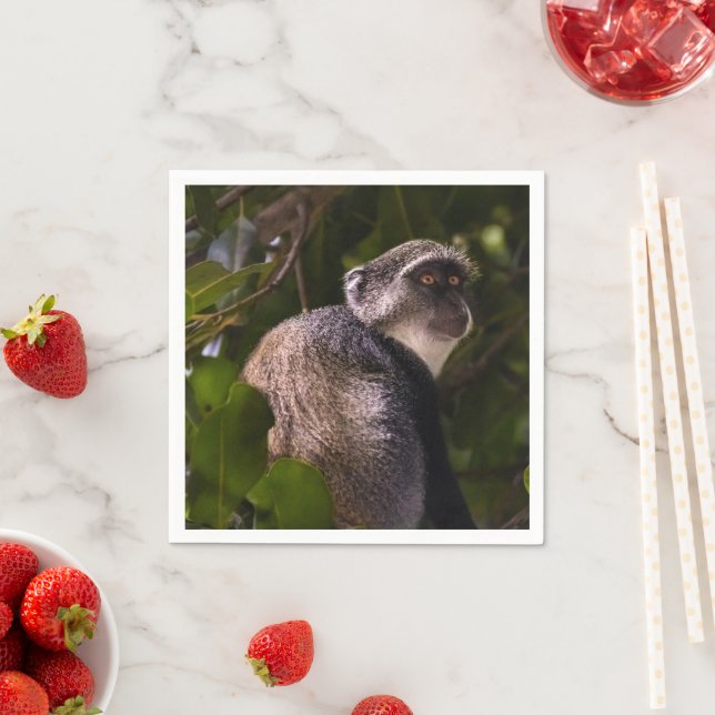 Blå apa, Zanzibar Pappersservett (Insitu)