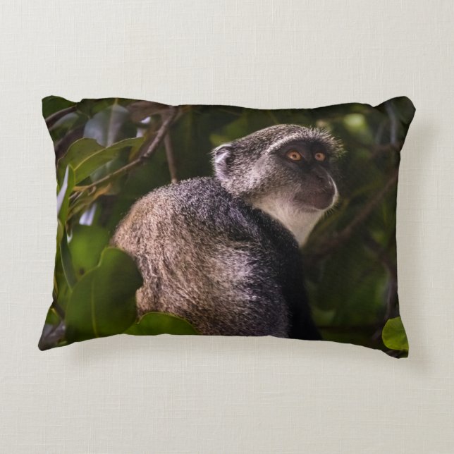 Blå apa, Zanzibar Prydnadskudde (Baksidan)