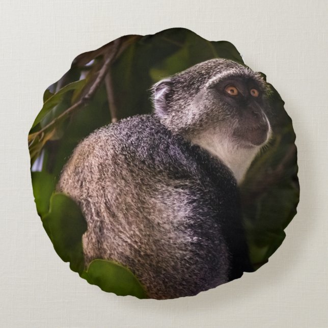 Blå apa, Zanzibar Rund Kudde (Baksidan)