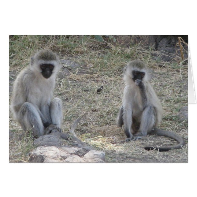 Blå apor hälsningskort (Framsidan Horizontal)