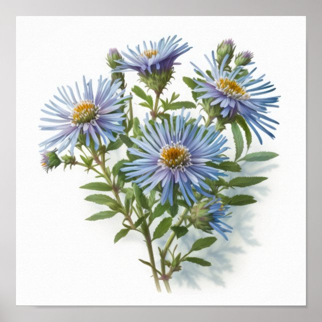 Blå Aster Blomma Konsttryck Poster (Framsidan)