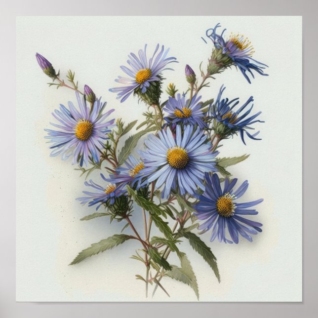 Blå Aster Flower Art Print Poster (Framsidan)