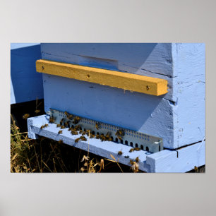 Blå beehive poster