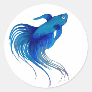 Blå Betta Fish Watercolor Runt Klistermärke