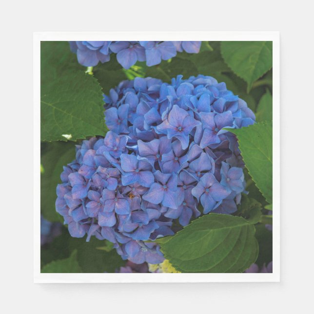Blå - blå Hydrangea Pappersservett (Framsidan)
