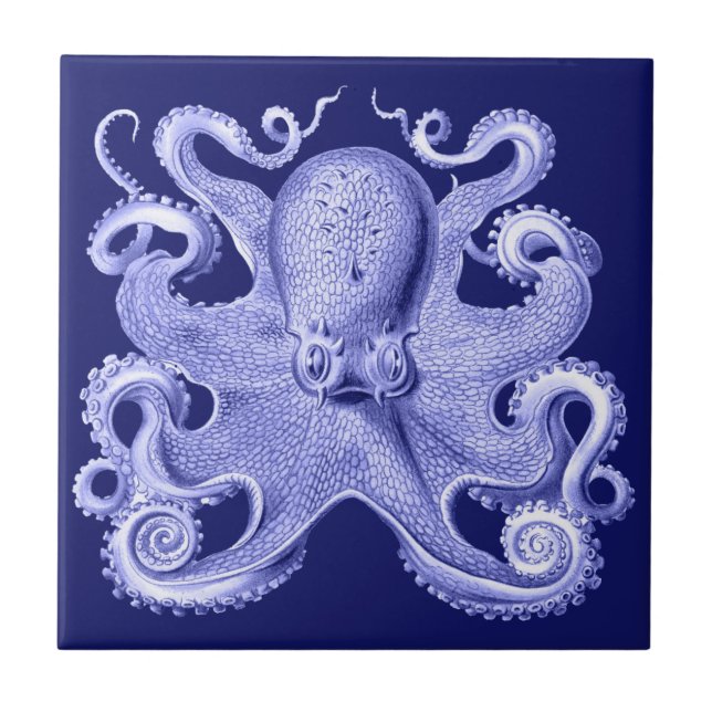 Blå bläckfisk nautiskt strandhus kustnära Haeckel Kakelplatta (Framsidan)