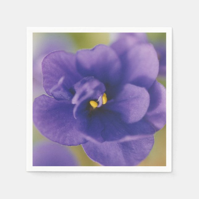 Blå blomma från Violet Saintpaulia Zoomed Pappersservett (Framsidan)