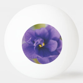 Blå blomma från Violet Saintpaulia Zoomed Pingisboll