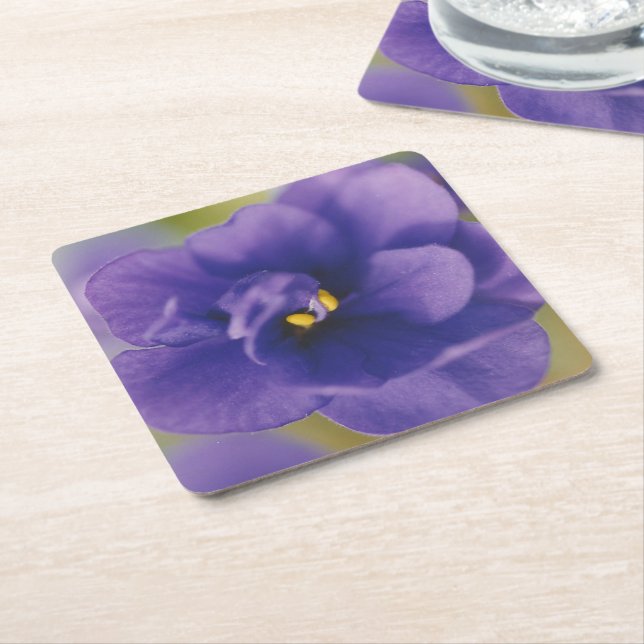 Blå blomma från Violet Saintpaulia Zoomed Underlägg Papper Kvadrat (Vinklad)