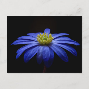 Blå blomma vykort