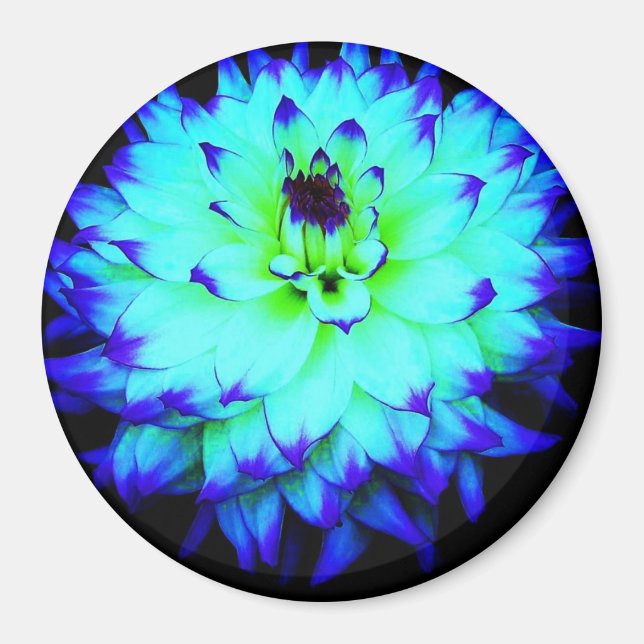 Blå blommagnet magnet (Framsidan)