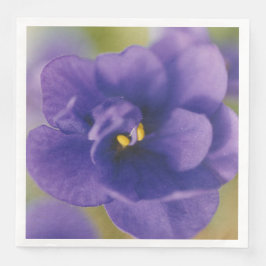 Blå blommande blomma av violett Saintpaulia zoomad Pappersservett