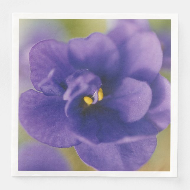 Blå blommande blomma av violett Saintpaulia zoomad Pappersservett (Framsida)