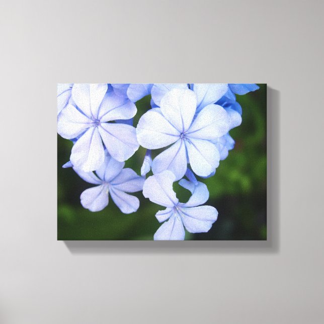 Blå Blommig Bokeh Canvastryck (Framsida)