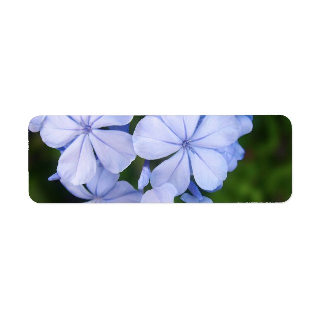 Blå Blommig Bokeh Returadress Etikett (Framsidan)