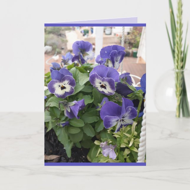 Blå blommor Blommig pensé Viola Foto Konst Kort (Framsida)