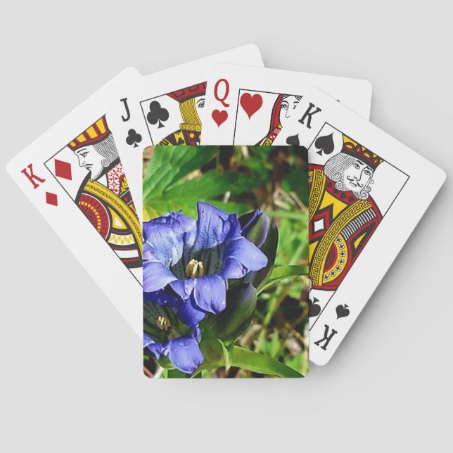 Blå blommor  casinokort (Baksidan)