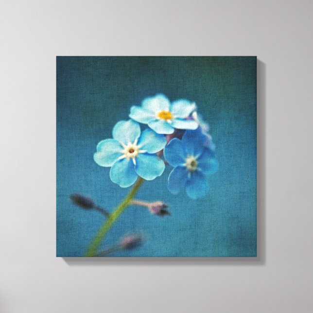 Blå blommor Förgätmigej Makrofotografering Canvastryck (Framsida)