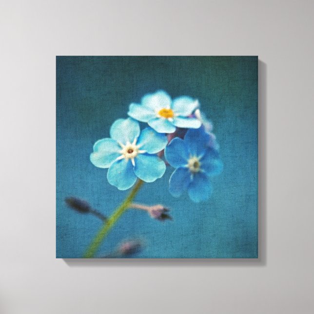 Blå blommor Förgätmigej Makrofotografering Canvastryck (Framsida)