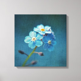Blå blommor Förgätmigej Makrofotografi Canvastryck