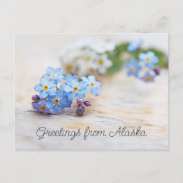 Blå blommor Glöm mig inte Hälsningar från Alaska Vykort