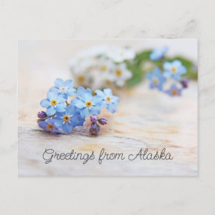 Blå blommor Glöm mig inte Hälsningar från Alaska Vykort