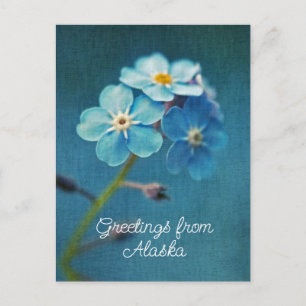 Blå blommor Glöm mig inte Hälsningar från Alaska Vykort