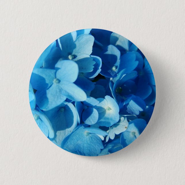 Blå blommor, hortensia knapp (Framsida)