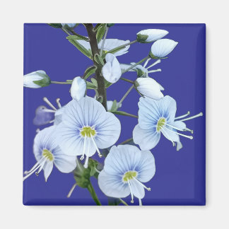 Blå blommor magnet