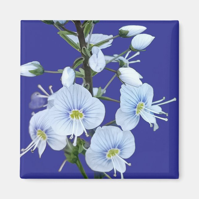Blå blommor  magnet (Framsidan)