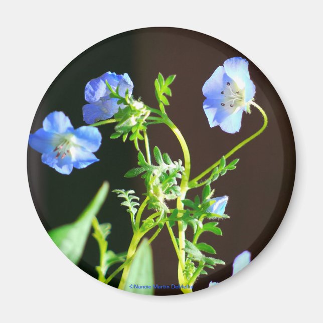 Blå blommor, magnet (Framsidan)