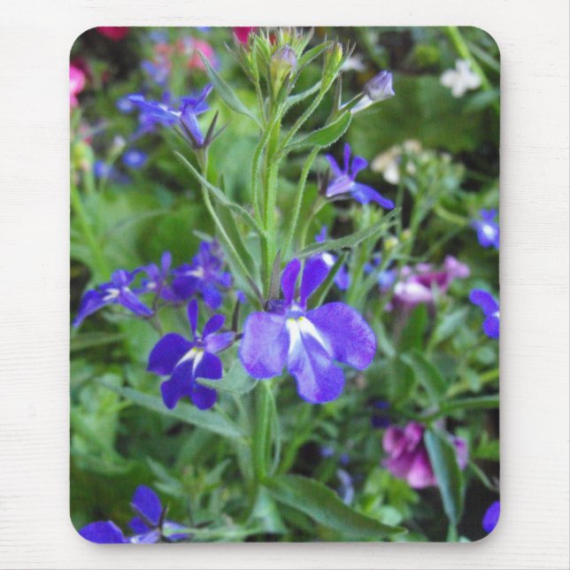 blå blommor musmatta (Framsidan)