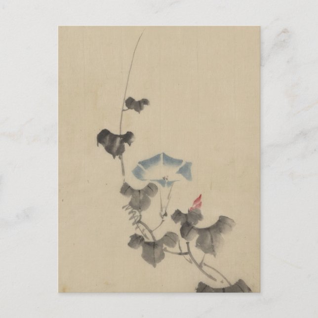 Blå blomning av morgonståndare på vinstock av Hoku Vykort (Framsida)