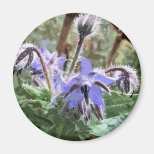 Blå Borage Star-blomma på köksmagnet Magnet