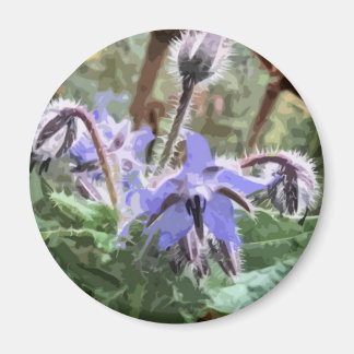 Blå Borage Star-blomma på köksmagnet Magnet