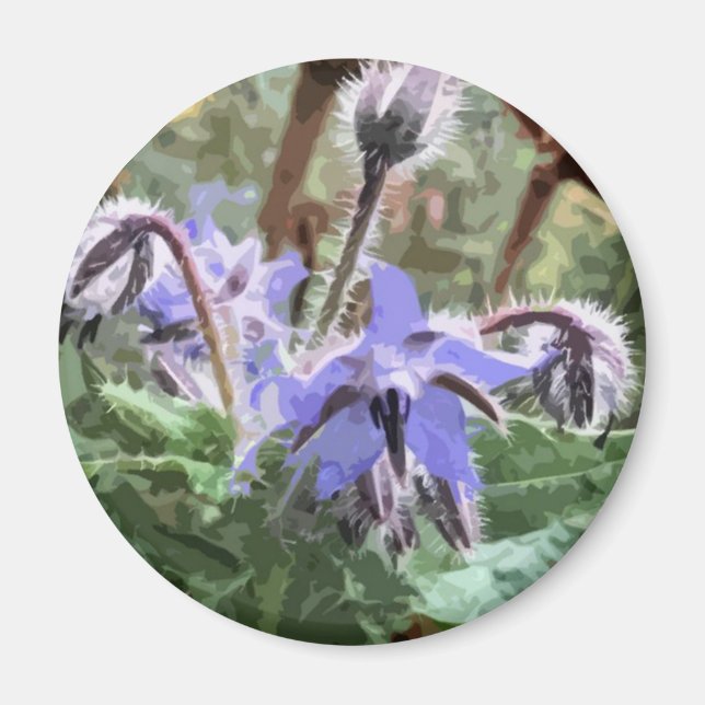 Blå Borage Star-blomma på köksmagnet Magnet (Framsidan)