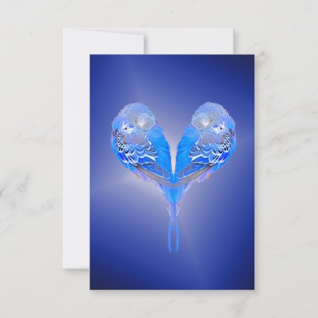 Blå budgie (Framsida)