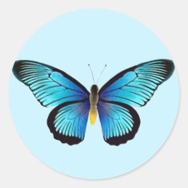 Blå butterfly-kuvert runt klistermärke