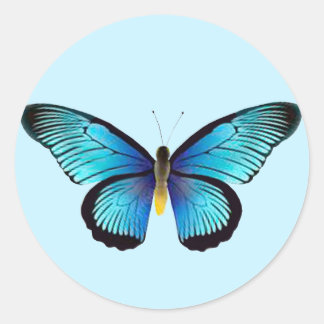 Blå butterfly-kuvert runt klistermärke