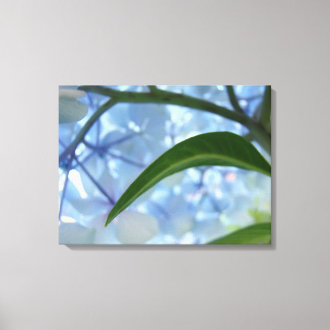 Blå Canvas konsttryck Hortensia Blomsterträdgård (Framsida)