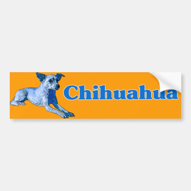 Blå Chihuahua Bildekal (Framsidan)