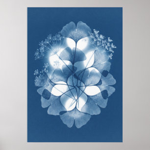 Blå Cyanotype Ginkgo Queen Anne Lace Affisch