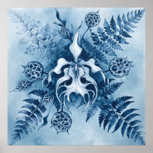 Blå Cyanotype-Orkidé Fern Fröbalja Affisch