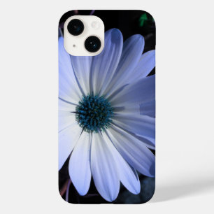 Blå Daisy blomma