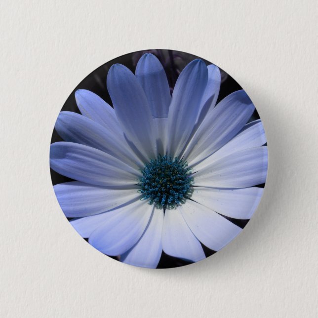 Blå Daisy, blomma Knapp (Framsida)