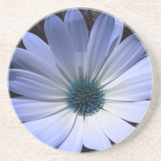 Blå Daisy blomma Underlägg Sandsten (Framsidan)