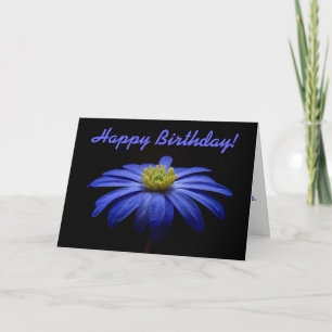 Blå Daisy Gerbera Blomma Glad Födelsedag Kort