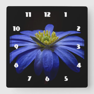 Blå Daisy Gerbera Flower på svart bakgrund Fyrkantig Klocka