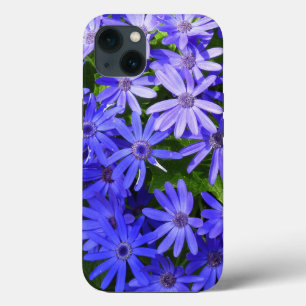Blå Daisy-liknande blommor Natur-fotografi