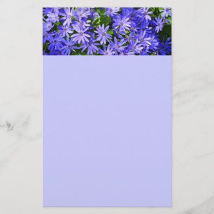 Blå Daisy-liknande blommor Natur-fotografi Brevpapper